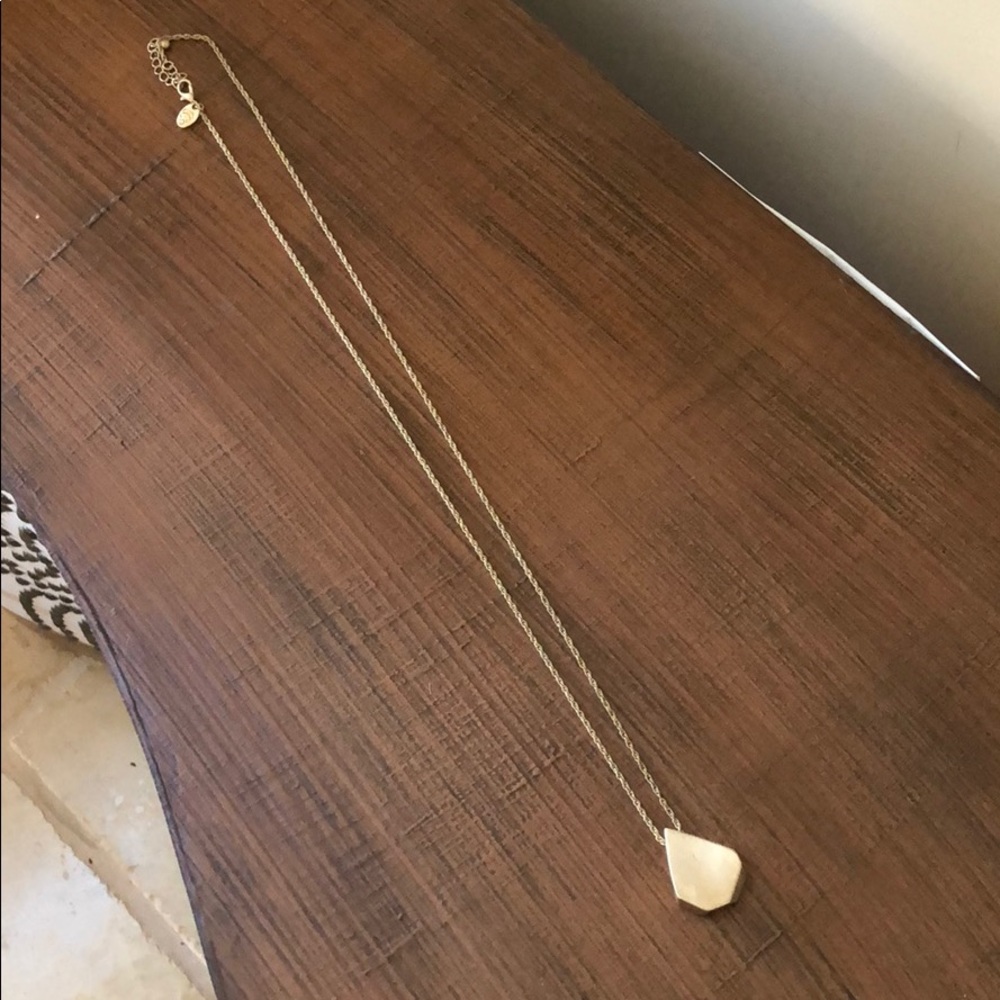 Charming Charlie Pendant Long Necklace